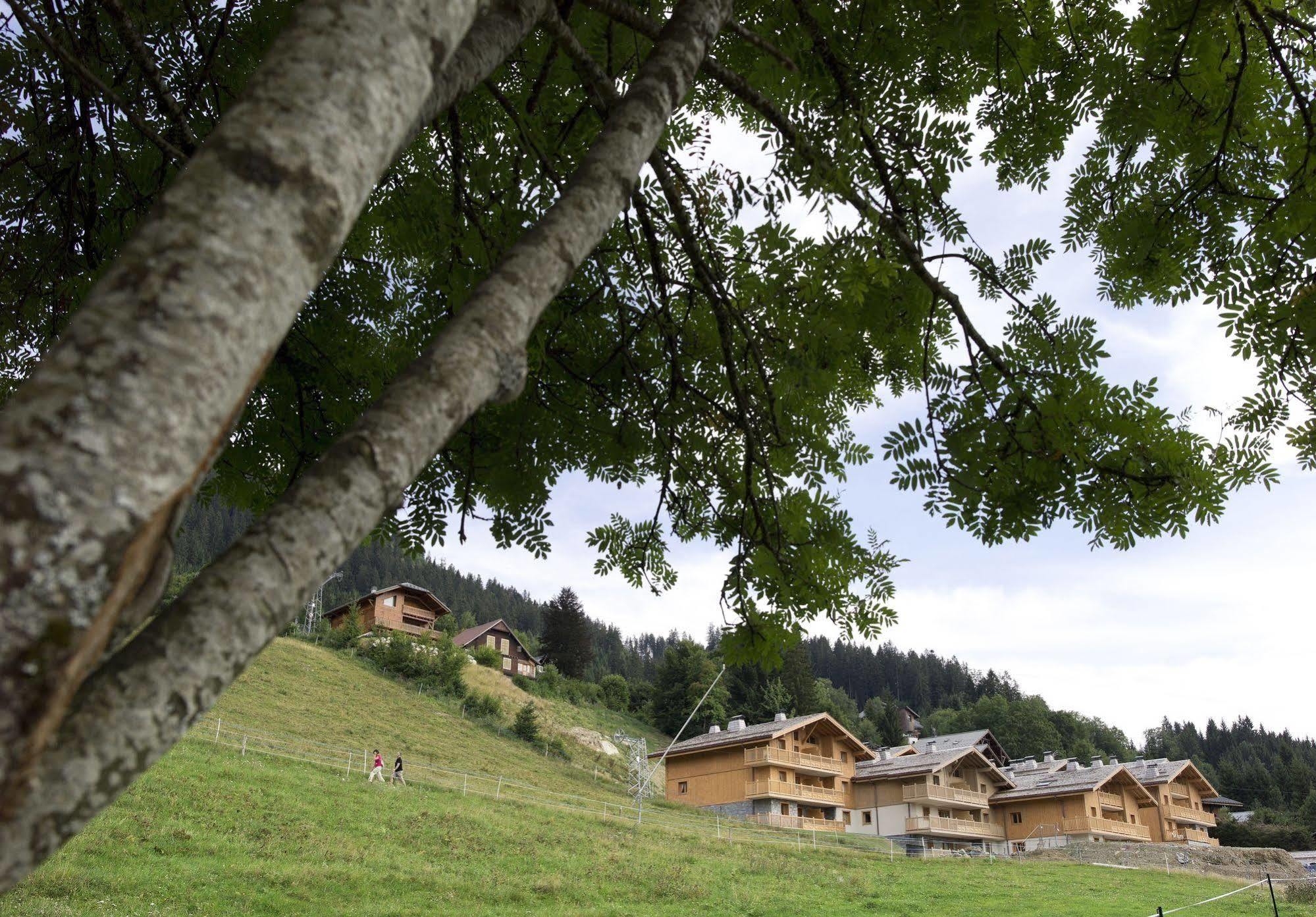 Cgh Residences & Spas Les Chalets De Jouvence Les Carroz d'Araches Εξωτερικό φωτογραφία